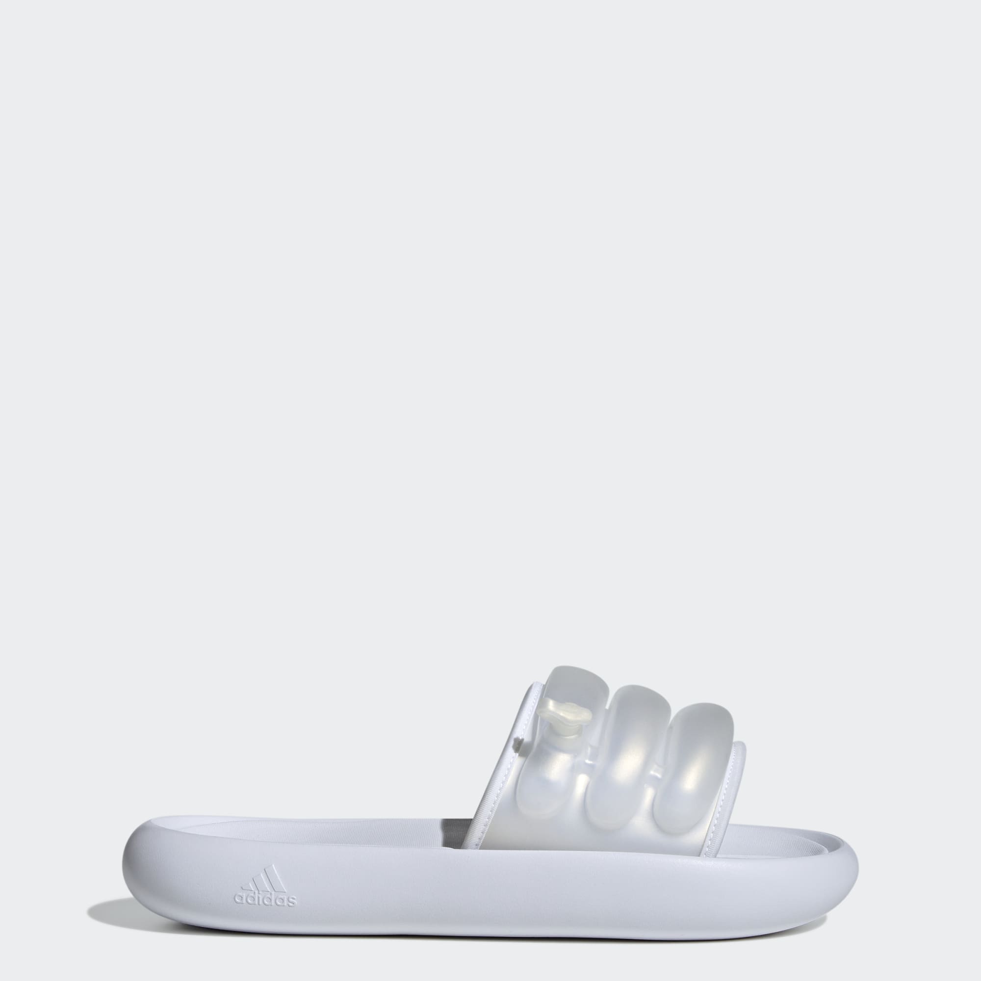 ZPLAASH Slides