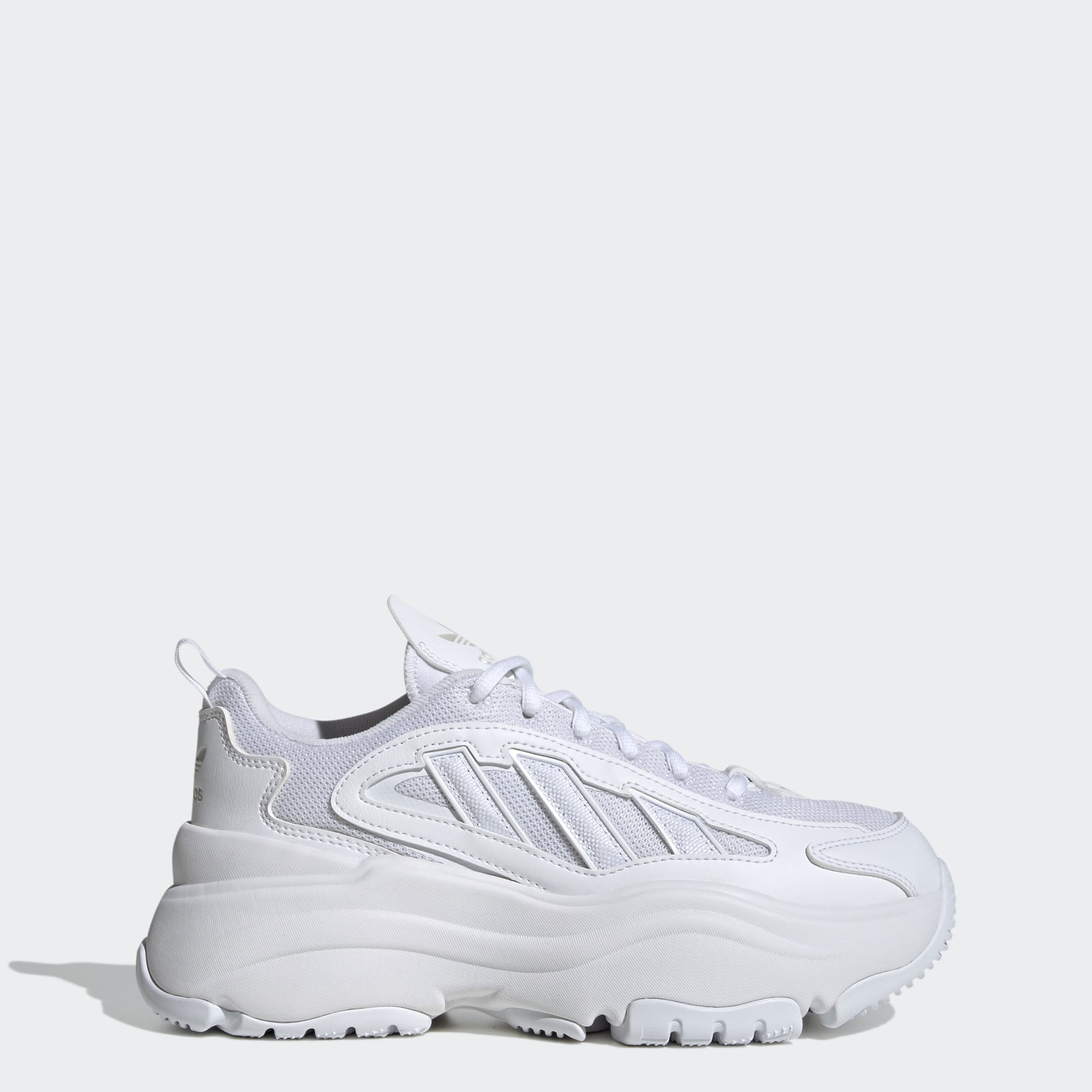 Ozgaia Shoes